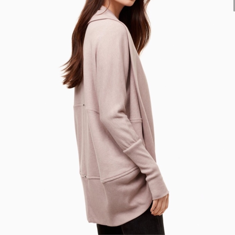 Aritzia Diderot Sweater (Wilfred)